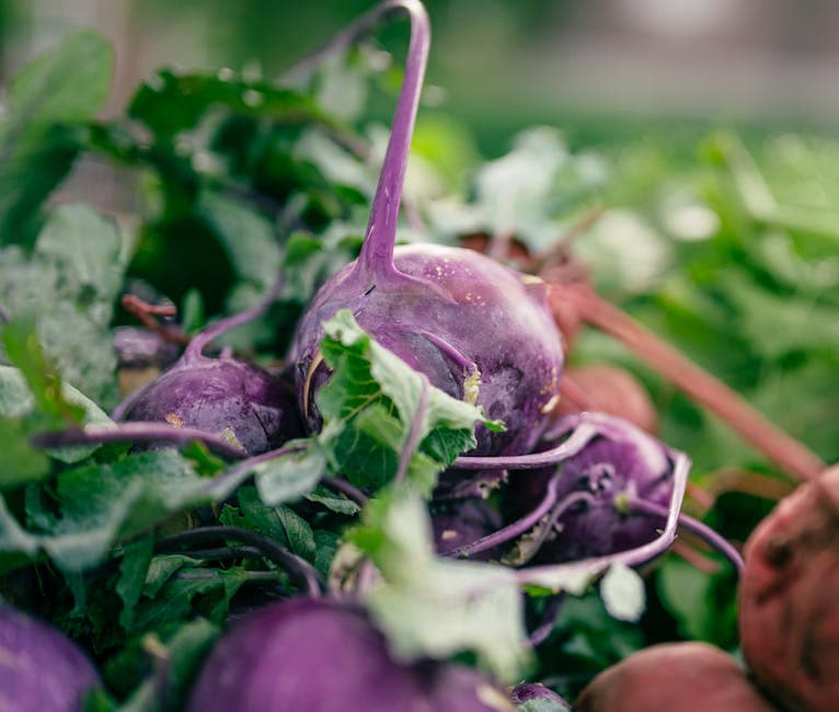 Rutabaga