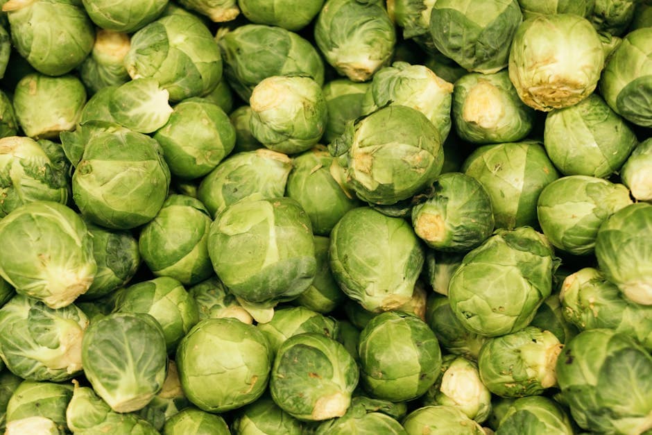 Chou de Bruxelles