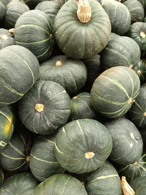 Courge