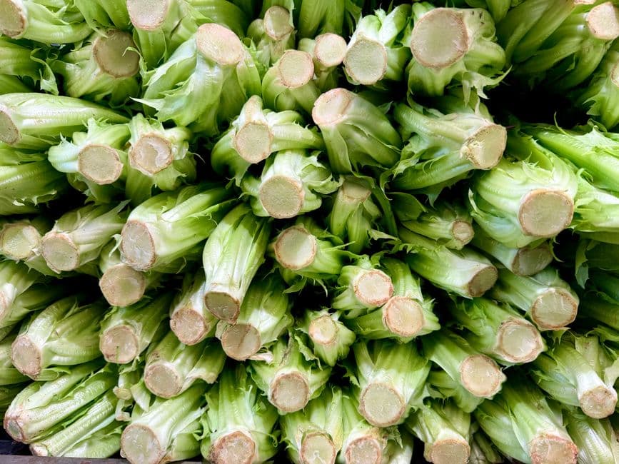 Endive