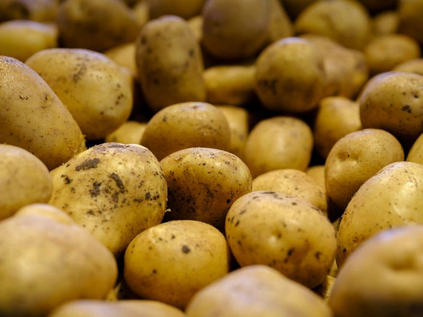 Pomme de terre