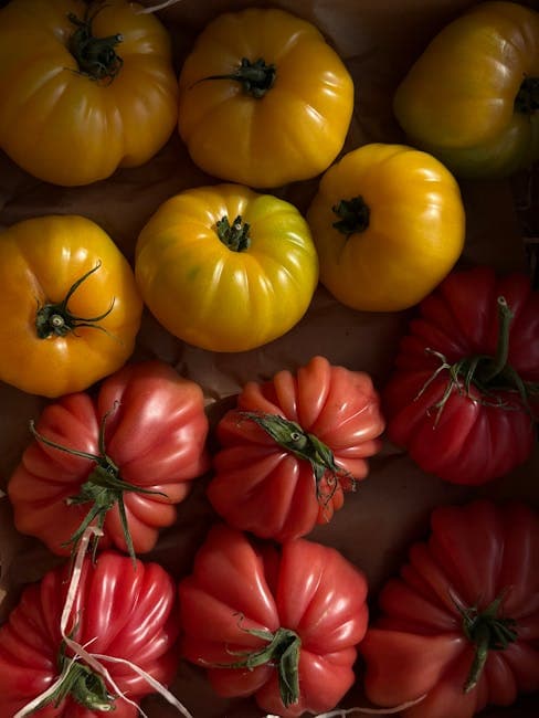 Tomate cœur de bœuf
